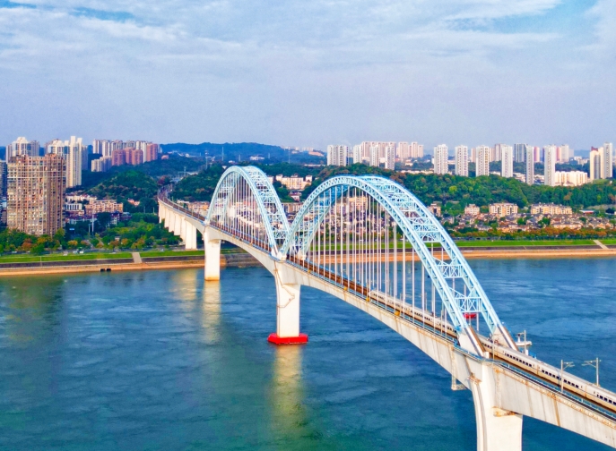 向光而行，花開滿途